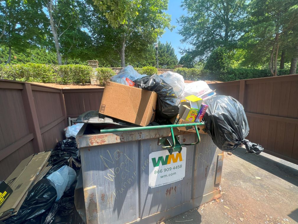 ExcessJunk Dumpster Cleanout