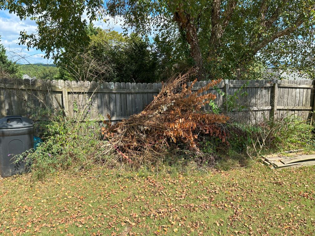 Yard Waste Removal - Before